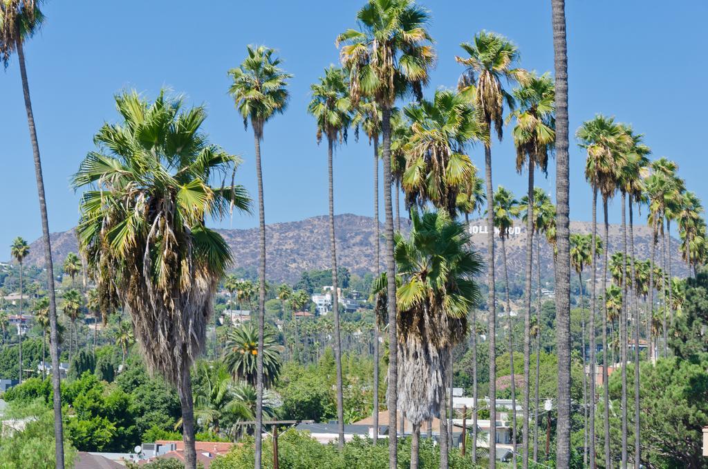 Hollywood Star View Suite Los Angeles Exteriör bild